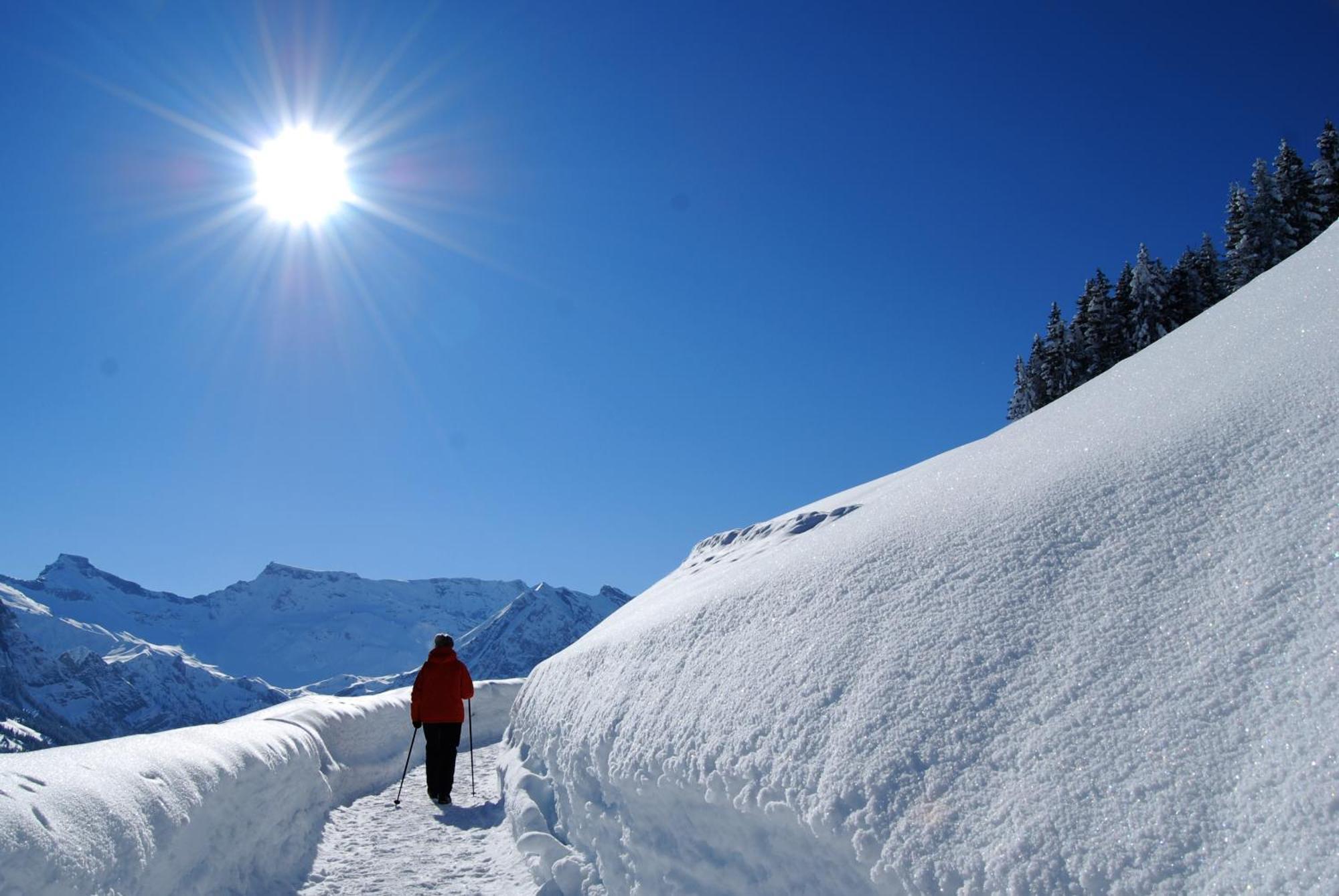 Bellevue Parkhotel & Spa - Relais & Chateaux Adelboden Dış mekan fotoğraf